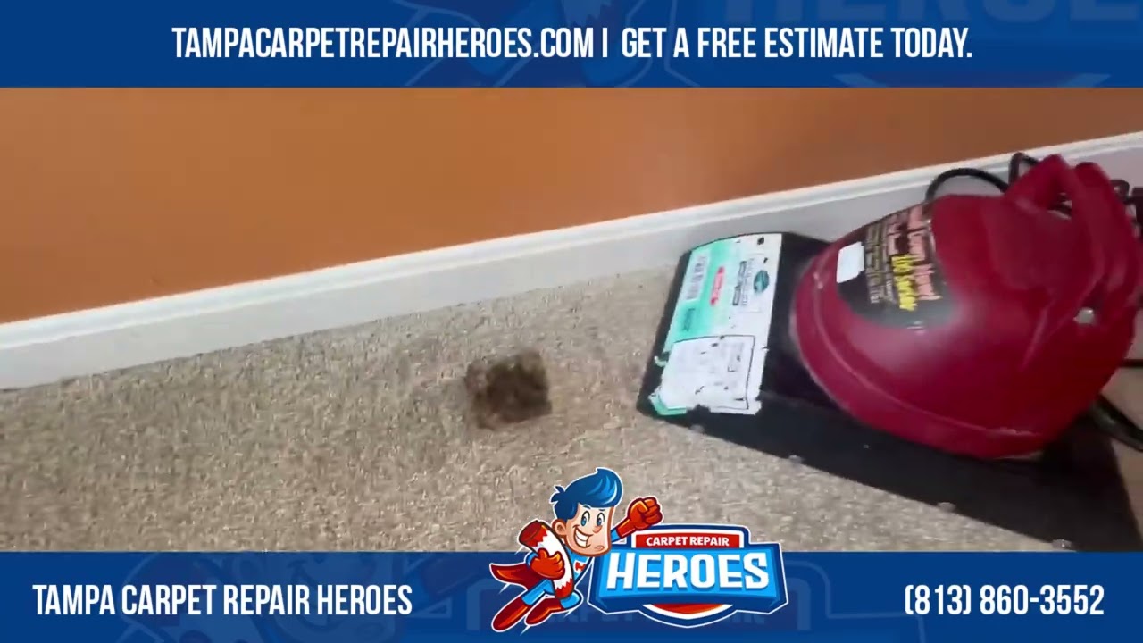 Carpet Patch Repair