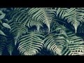 Digital Farm Animals - True 