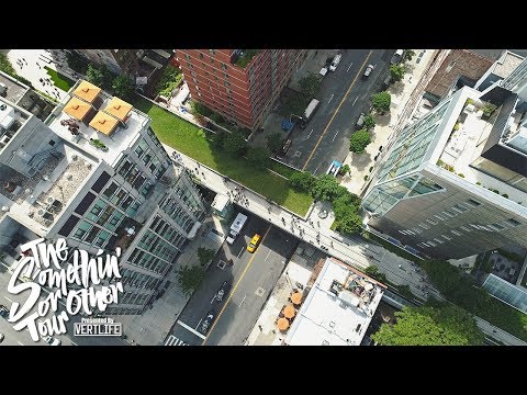 High Above NYC at The High Line 🏙️