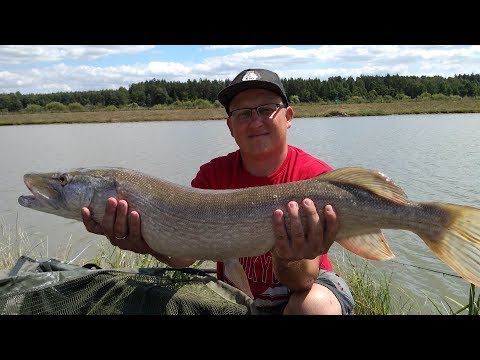 PAN RYBA #61 KOMERCJA NAD POTOKIEM