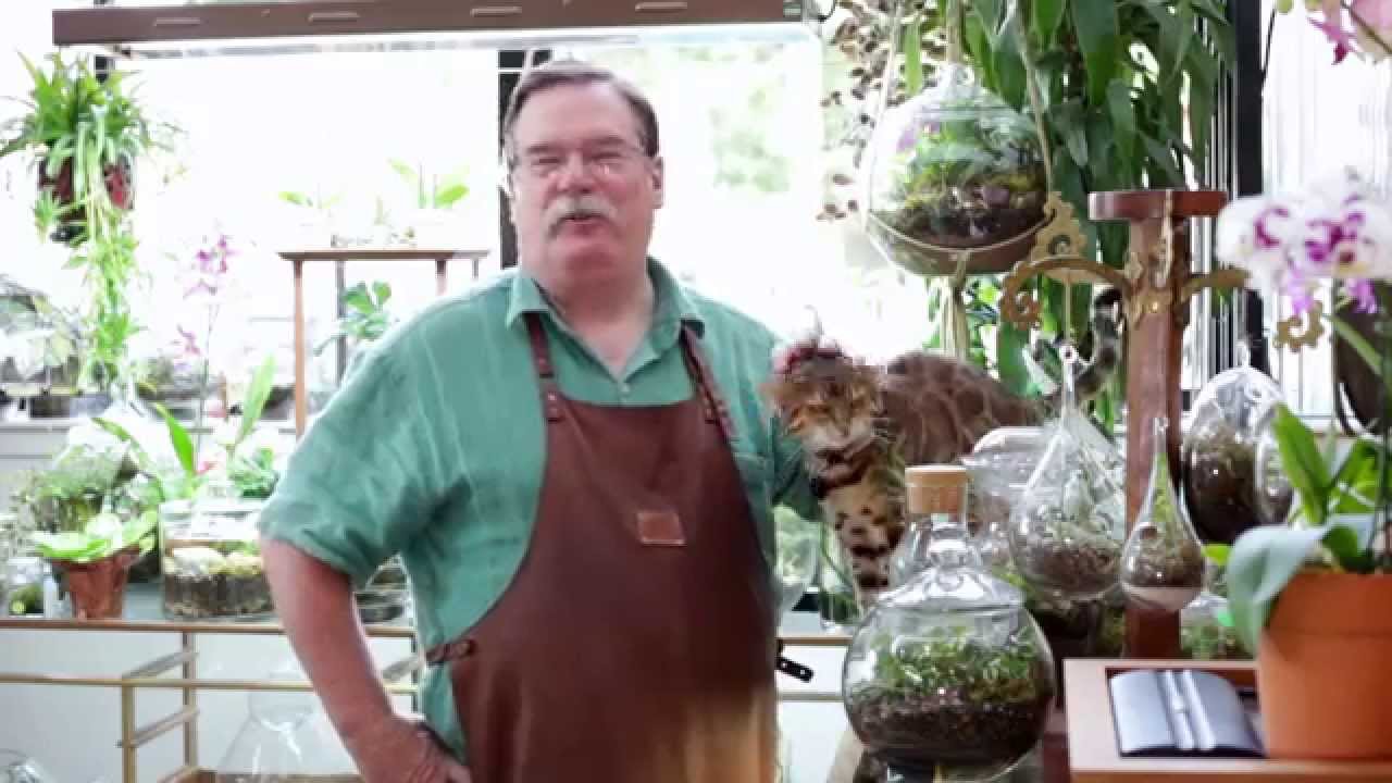 Roosevelt's Terrariums