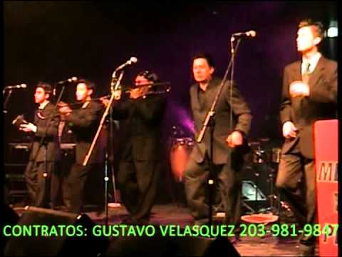 GUSTAVO VELASQUEZ EN CONCIERTO CON DON MEDARDO Y SUS  PLAYERS