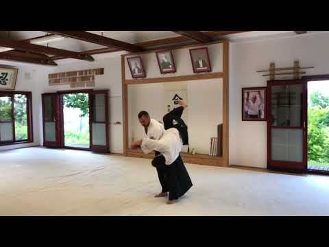 Shomen uchi - Koshinage  #masterbak