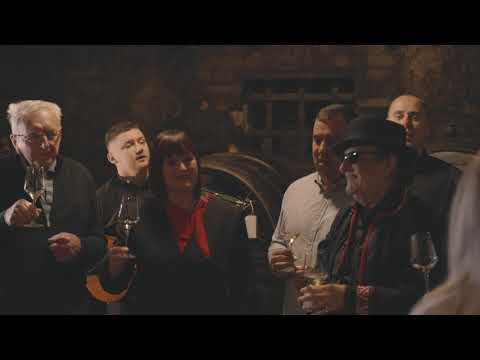 Boris Ćiro Gašparac - Nazdravite (Ajd' živili) (Official video)