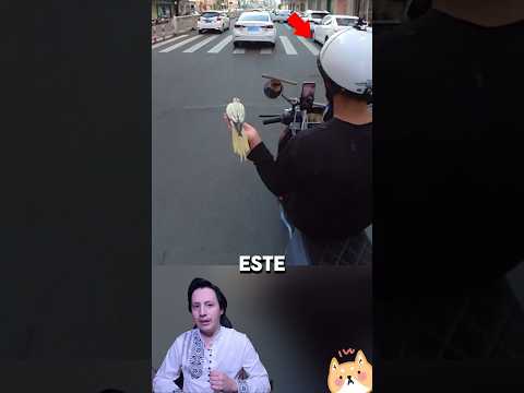 PAJARO ES LIBERADO #historias #curiosidades #épico #viral