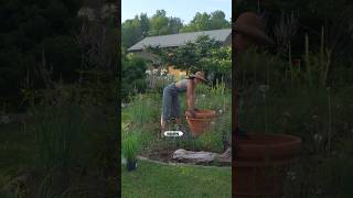 CHEAP, REUSED Planters Get New Life