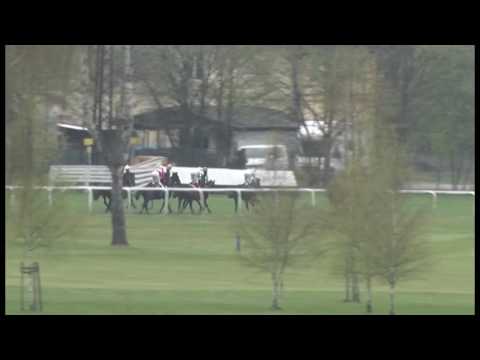 KV, 29. 4. 2017, 5. dostih - Jarní cena Fredricks & von der Horst