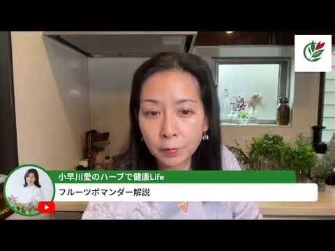 医療ビジネス薬科学科 フルーツポマンダーを解説