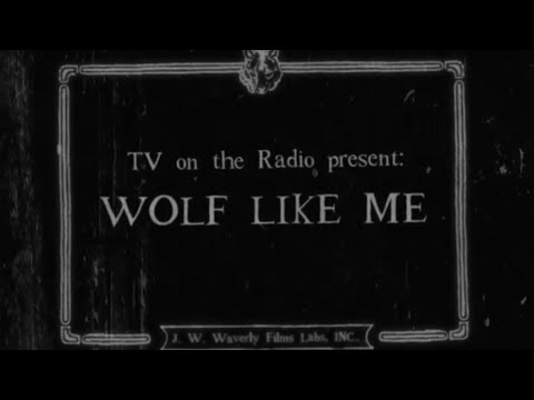 TV On The Radio - "Wolf Like Me" (Official Video)