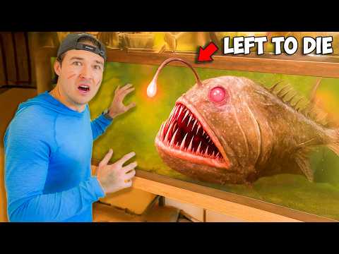 Buying an Abandoned Angler Fish and Transforming Its Home!
