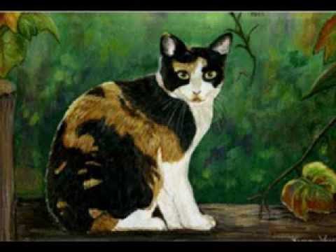 tawnypelt and rowanclaw tribute