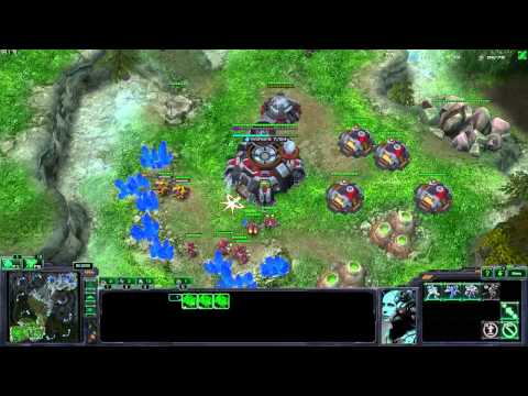 Ladder with Richy Coaching: TVP