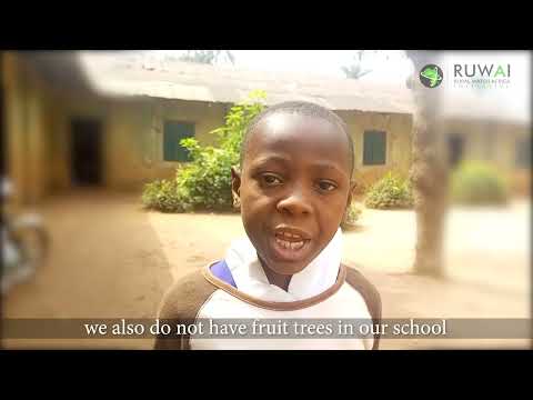 HELP REBUILD A RURAL NIGERIAN SCHOOL