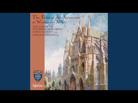 Gowers: Viri Galilaei