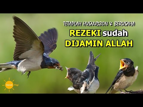 REZEKI sudah diJAMIN ALLAH | Tetaplah husnudzon kepada Allah dan Berusaha