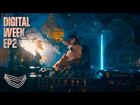 Vintage Culture @ Digital Week EP2 | @vintageculture  ​
