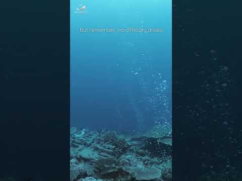 Witness21  2023 10 18