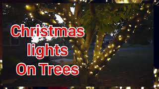 Tip from a pro- Christmas Light Series (5/10) trunk wrapping trees and bushes