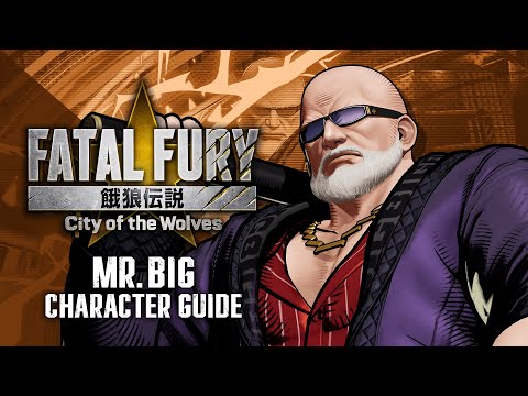 ܸ۲ϵCotWMr.BIGCharacter Breakdown