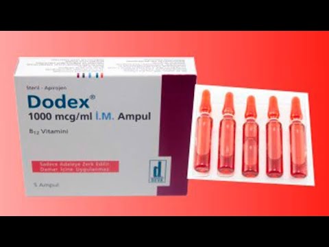 download lagu mp3 mp4 Dodex, download lagu Dodex gratis, unduh video klip Dodex