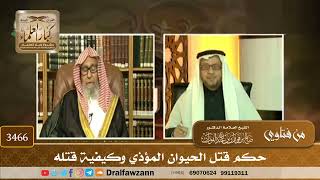 [3466] حكم قتل الحيوان المؤذي وكيفية قتله - صالح الفوزان