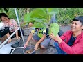 วิธี