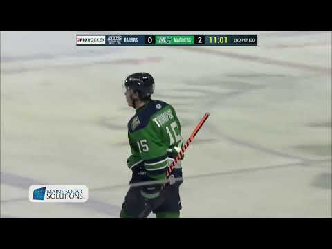 Maine Mariners vs. Worcester Railers highlights - 1/24/25
