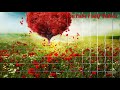 Pahli Pahli Baar Baliye Dil Gya Haar Baliye Romantic What S App Status Video
