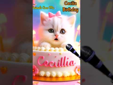 CECILIA HAPPY BIRTHDAY | HAPPY BIRTHDAY SONG WITH NAMES | Adorable Cute Cat 😺  #happybirthday #cat
