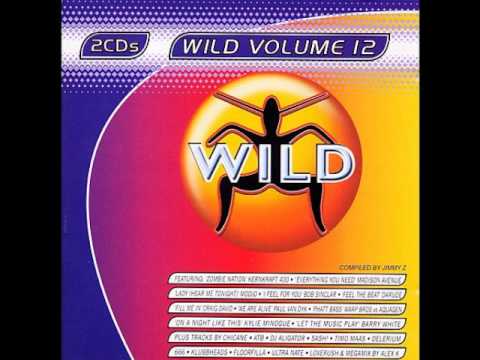WILD FM VOLUME 12 - WILD VOLUME 12 MEGAMIX (ALEX K)