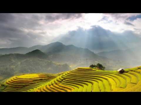 La Saveur de Hòa Bình