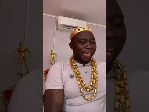 Bordo MOny hond live