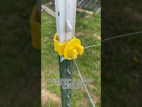 The things you need to make an electric fence! #electricfence #gardenfence