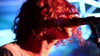 Fight Ibis - Moon Zappa live @Groovetock 2016