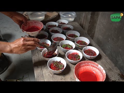 ĐÁM CƯỚI DAO ĐỎ 150 MÂM 9 CON LỢN 165kg GÀ (P1) IU MIENH WEDDINGSapa Tv