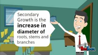 Primary and Secondary Growth
