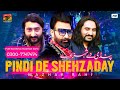 Pindi De Shahzaday Mazhar Rahi Official Video Tp Gold