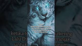Download lagu quotes kata bijak macan putih. Jangan sombong mp3