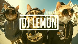 Download lagu Separuh Nafas ✘ Tak Segampang Itu ✘ Penjaga Hati ✘ Komang ♪ DJ Lemon Manyao Indo Remix 2024 ♪ mp3 Download lagu Separuh Nafas ✘ Tak Segampang Itu ✘ Penjaga Hati ✘ Komang ♪ DJ Lemon Manyao Indo Remix 2024 ♪ mp3