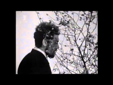 Zpívám pro tebe zpívám  -  Waldemar Matuška