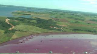 preview picture of video 'Prince Edward Island: landing a Cessna at Slemon Park Airport near Summerside'