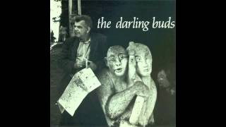 The Darling Buds - Just to Be Seen