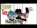How to train HAMSTRING (Best exercise for hamstring)