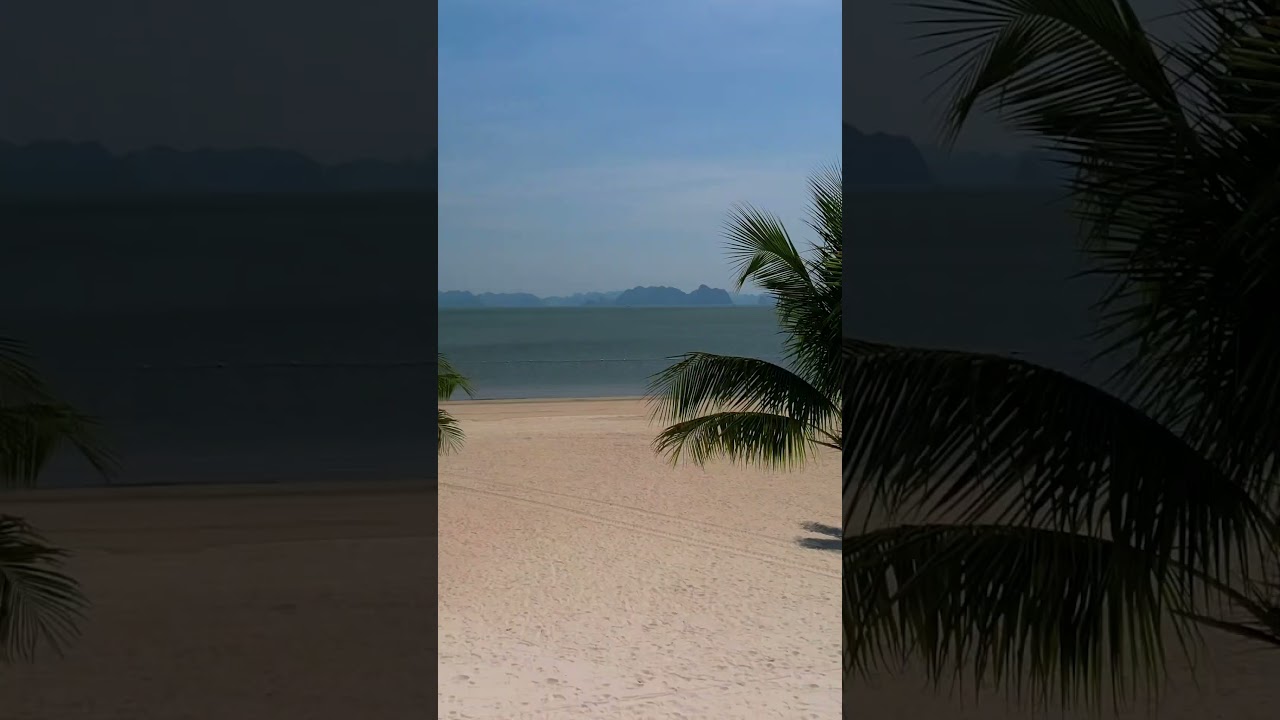 YouTube Short thumbnail