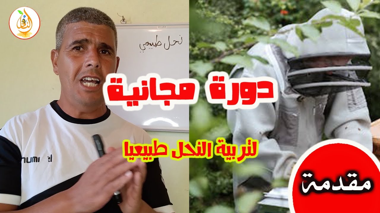 دورة مجانية لتربية النحل طبيعيا من البداية حتى الإحتراف