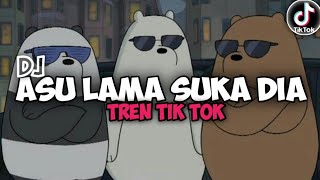 Download lagu DJ asu lama suka dia de yang manis pipi congka slow beat mengkane 🎧 mp3