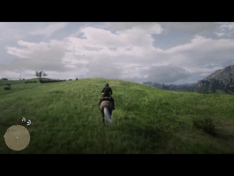 NSG's Red Dead Redemption 2 #14