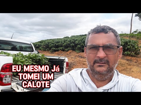 Vejam porque os viveirista toma calote 
