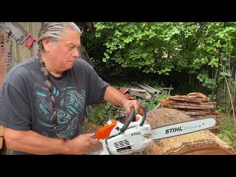 Brand New 2021 Stihl MS 201 Cutting- 20 inch Douglas Fur