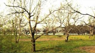 カントリーロード[[COUNTRY ROADS]] 　ME FIRST AND THE GIMME GIMMES